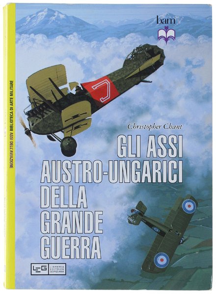 GLI ASSI AUSTRO-UNGARICI DELLA GRANDE GUERRA. | Immagine principale