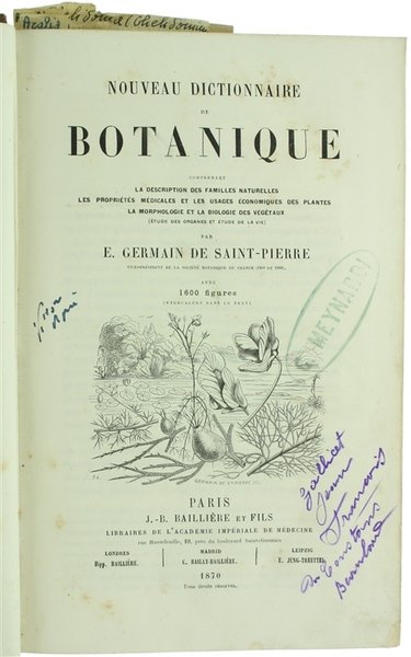 NOUVEAU DICTIONNAIRE DE BOTANIQUE comprenant la description des familles naturelles, …