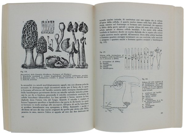 BOTANICA FARMACEUTICA.