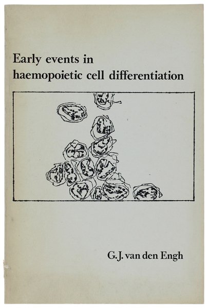 EARLY EVENTS IN HAEMOPOIETIC CELL DIFFERENTIATION.