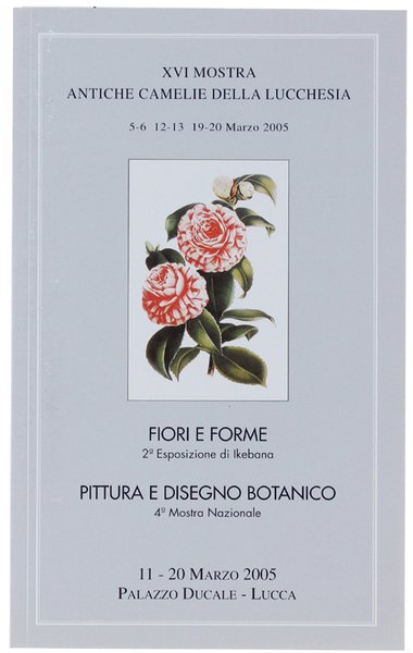 PITTURA E DISEGNO BOTANICO. 4a Mostra nazionale. FIORI E FORME …