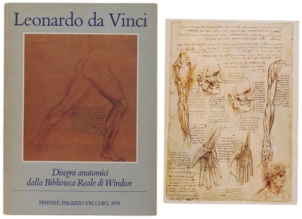 LEONARDO DA VINCI. DISEGNI ANATOMICI DALLA BIBLIOTECA REALE DI WINDSOR. | Immagine Gallery 2