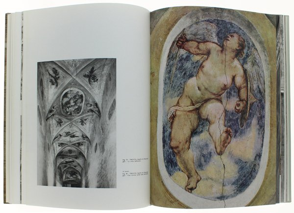 AFFRESCHI DI GIROLAMO ROMANINO.