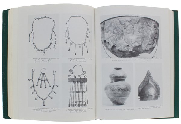 FIGURATIVE ART IN PIEDMONT - Vol. !: From the Prehistoric …