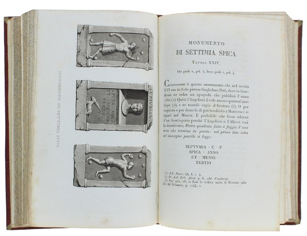 MUSEO DELLA REALE ACCADEMIA DI MANTOVA. Volume secondo.