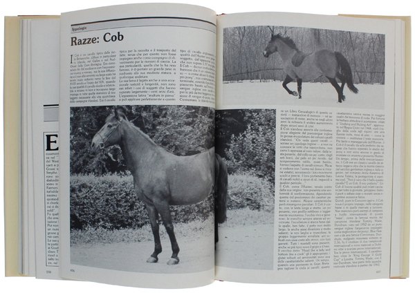 CAVALLI E CAVALIERI.