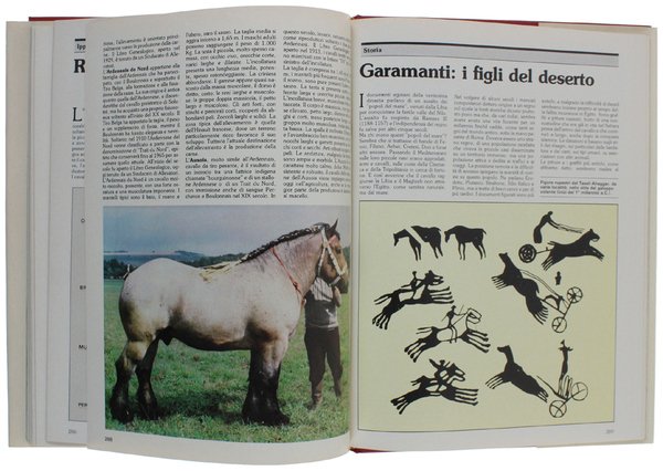 CAVALLI E CAVALIERI.