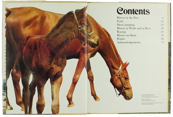 ALL COLOUR BOOK OF HORSES.