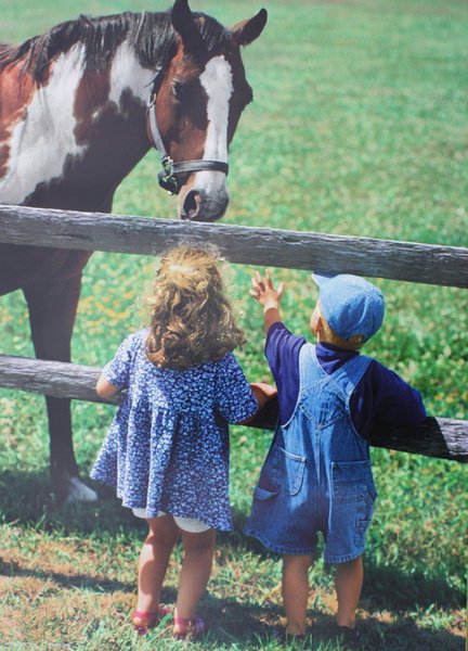 IL CAVALLO E L'UOMO - FOTOCALENDARIO BURGO 2004.