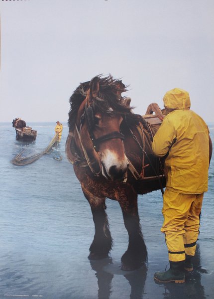 IL CAVALLO E L'UOMO - FOTOCALENDARIO BURGO 2004.