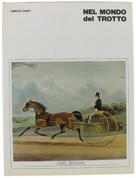 NEL MONDO DEL TROTTO. | Immagine principale