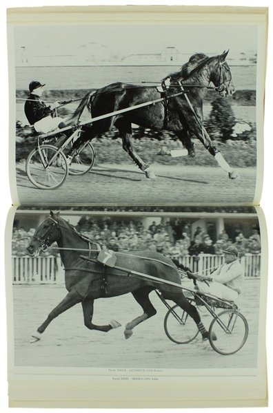 NEL MONDO DEL TROTTO. | Immagine Gallery 5