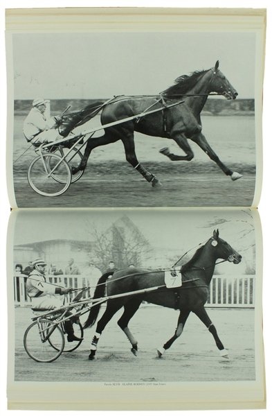 NEL MONDO DEL TROTTO. | Immagine Gallery 6