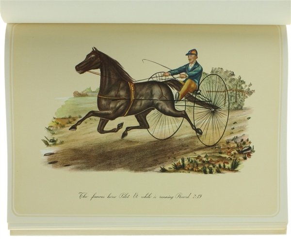 NEL MONDO DEL TROTTO. | Immagine Gallery 10