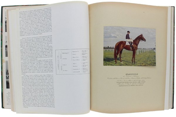 LE GRANDI PROVE IPPICHE. Annuario dello sport ippico nel mondo. … | Immagine Gallery 7