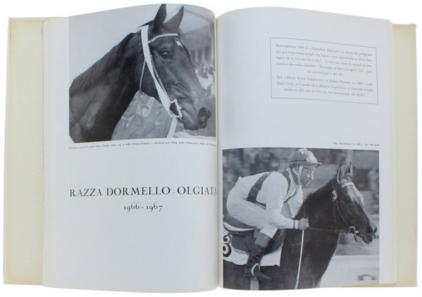LE GRANDI PROVE IPPICHE. Annuario illustrato dello sport ippico. Anno … | Immagine Gallery 2