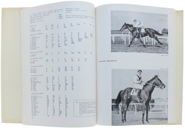 LE GRANDI PROVE IPPICHE. Annuario illustrato dello sport ippico. Anno … | Immagine Gallery 4