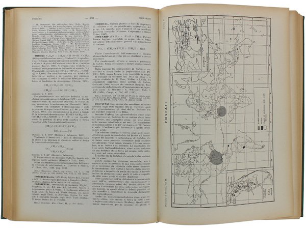 DIZIONARIO DI CHIMICA GENERALE E INDUSTRIALE. Chimica agraria, biologica, bromatologica, …