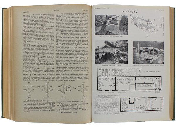 DIZIONARIO DI CHIMICA GENERALE E INDUSTRIALE. Chimica agraria, biologica, bromatologica, …