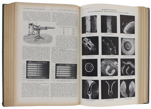 DIZIONARIO DI CHIMICA GENERALE E INDUSTRIALE. Chimica agraria, biologica, bromatologica, …
