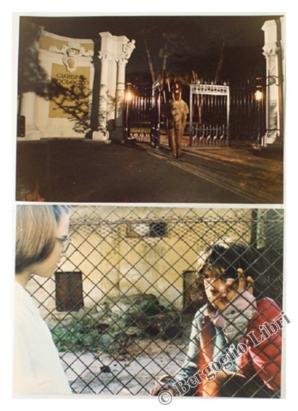 ZOO: DUE FOTO ORIGINALI.