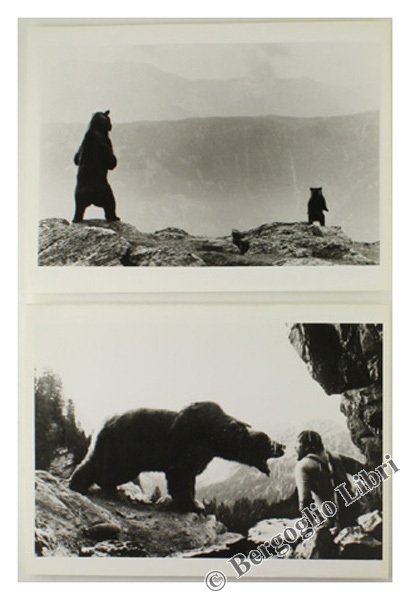 L'ORSO - L'OURS: DUE FOTO ORIGINALI.
