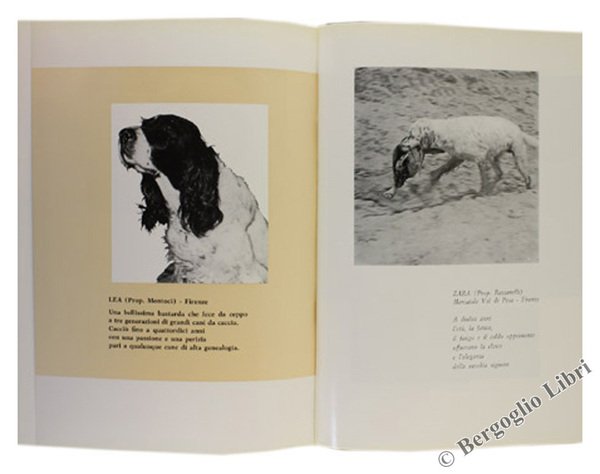 I GRANDI PROTAGONISTI DELLA NOSTRA CACCIA.