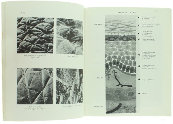 LES SOINS DES CHEVEUX. Manuel pratique à l'usage des profesionnels.