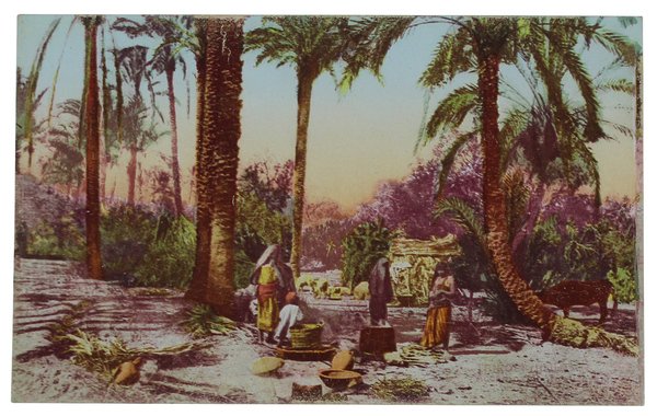 TRIPOLI (Italia) - GRUPPO NELL'OASI. cartolina originale, perfetta (1912)