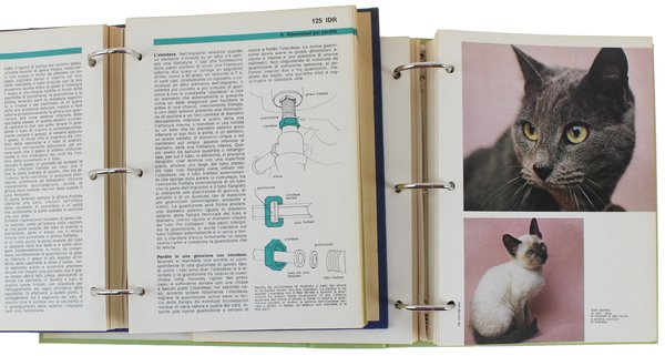 IL SUPER FATELO DASOLI. Manuale pratico per ogni tipo di …