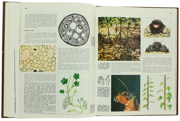 BIOLOGIA. Enciclopedia Italiana delle Scienze.