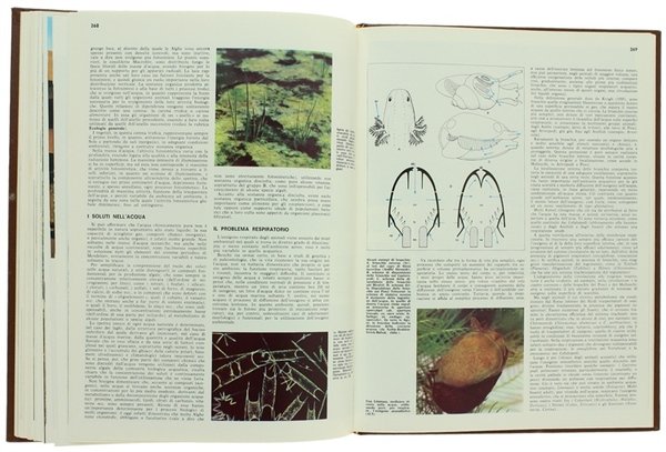 BIOLOGIA. Enciclopedia Italiana delle Scienze.