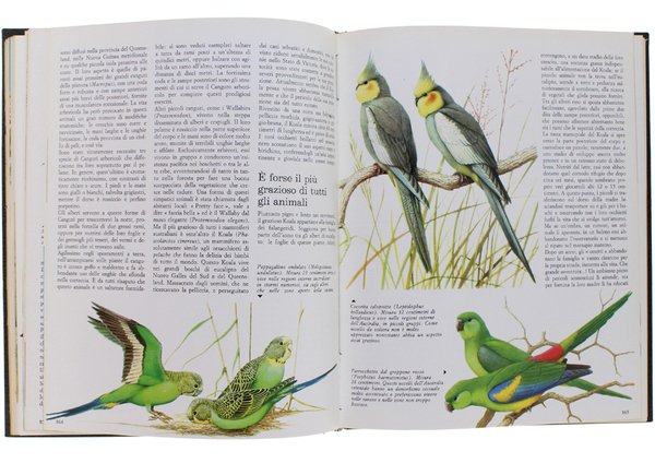 GLI ANIMALI. Tutti gli animali nel loro ambiente.