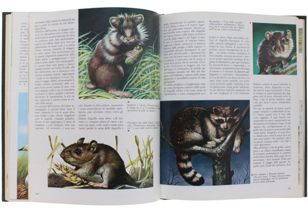 GLI ANIMALI. Tutti gli animali nel loro ambiente.