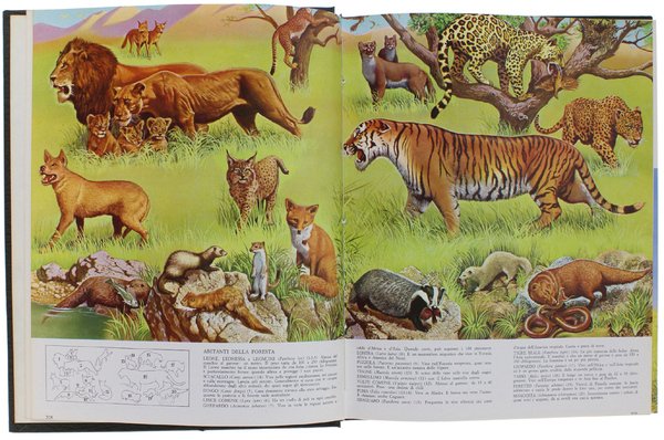 GLI ANIMALI. Tutti gli animali nel loro ambiente.