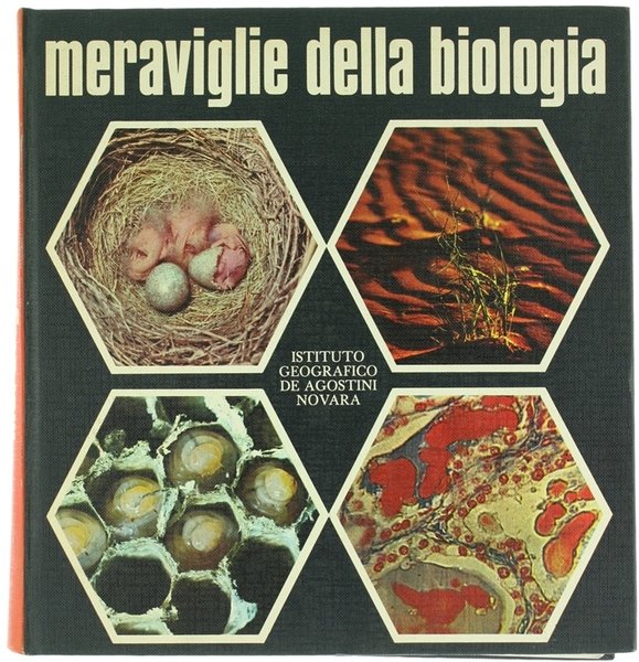 MERAVIGLIE DELLA BIOLOGIA.