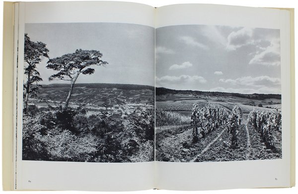 CHAMPAGNE. Photographies de Gerald Maurois et Augustin Dumage.
