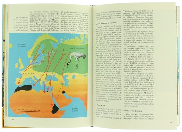 ANIMALI NOMADI E MIGRATORI.