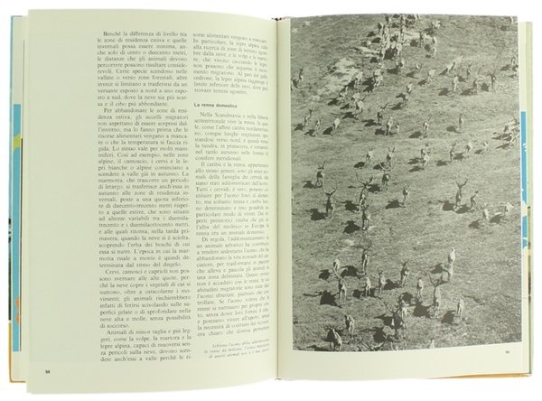 ANIMALI NOMADI E MIGRATORI.