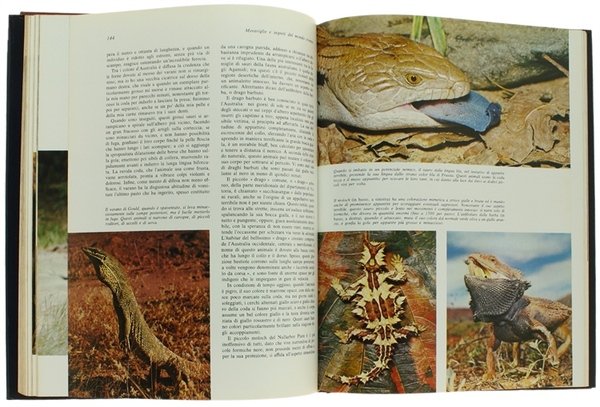 MERAVIGLIE E SEGRETI DEL MONDO VIVENTE [volume ottimo]