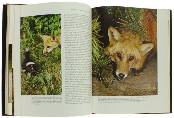 MERAVIGLIE E SEGRETI DEL MONDO VIVENTE [volume ottimo]