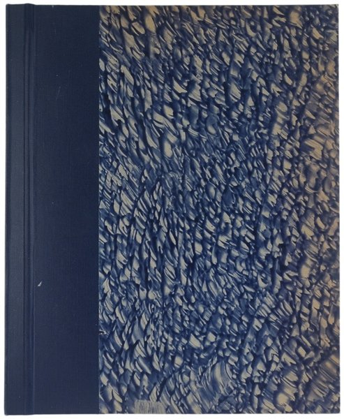 ITALIA DOMANDA - IL MONDO IL CUI VIVIAMO.