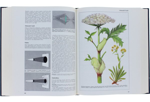 ENCICLOPEDIA DELLA SCIENZA E DELLA TECNICA [10 volumi, come nuovi]