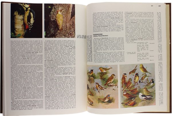 GLI ANIMALI VERTEBRATI. Enciclopedia Italiana delle Scienze.