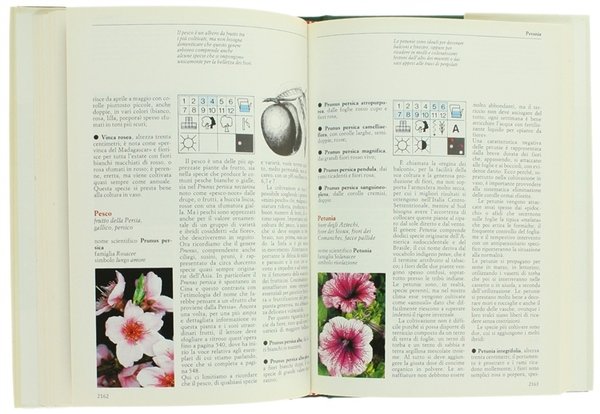 FIORI & PIANTE MESE PER MESE. [completa]