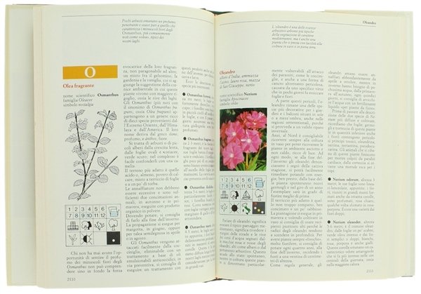 FIORI & PIANTE MESE PER MESE. [completa]