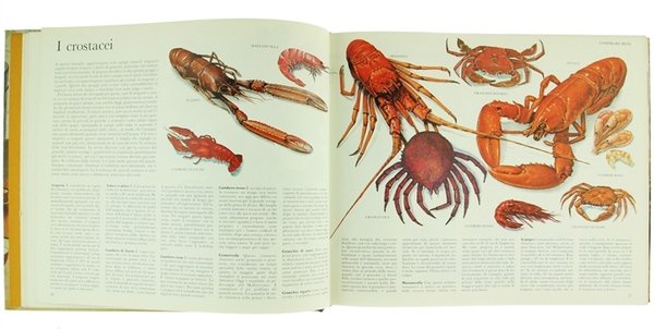 IN CUCINA CON FANTASIA. Ricette dal mondo per ogni mese.