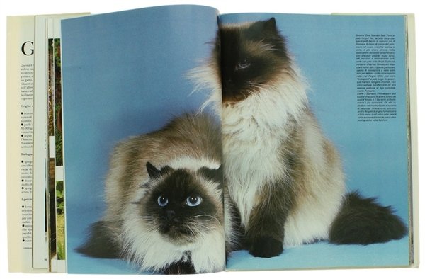 IL GATTO. Evoluzione - Biologia di base - Razze - …