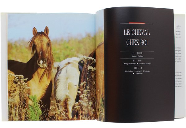 LE CHEVAL UNE PASSION.