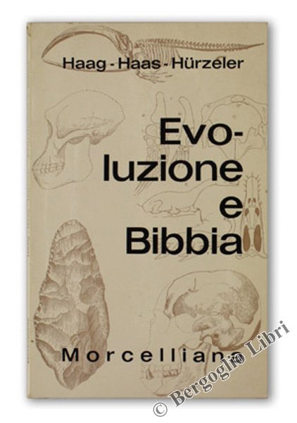 EVOLUZIONE E BIBBIA.